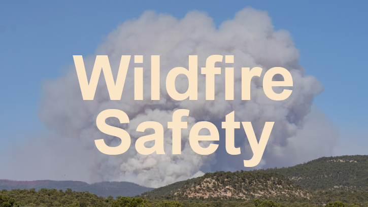 wildfire safety