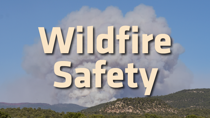 wildfire safety