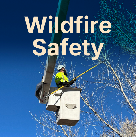 wildfire safety