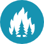 Wild Fire Icon
