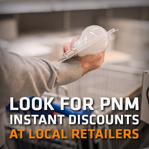 Energy Efficiency Programs for Qualified Customers pnmprod