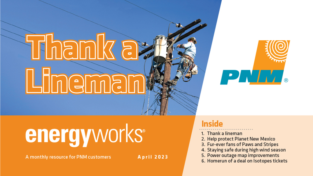 Thank a Lineman Thank a Lineman