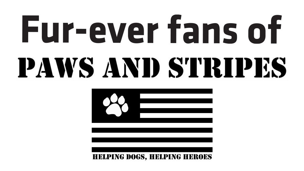 Fur-ever fans of Paws and Stripes