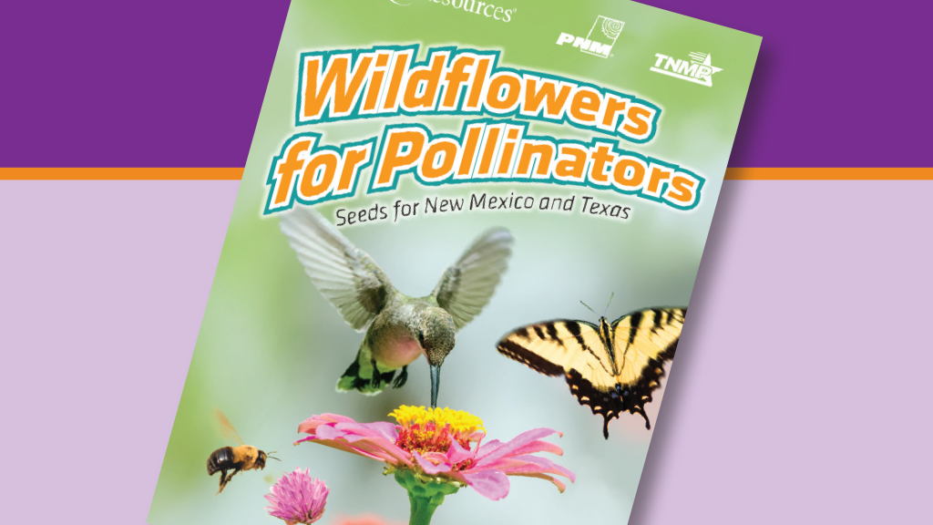 Free wildflower seed packets!
