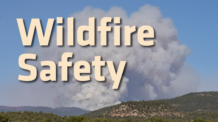 Wildfire Safety
