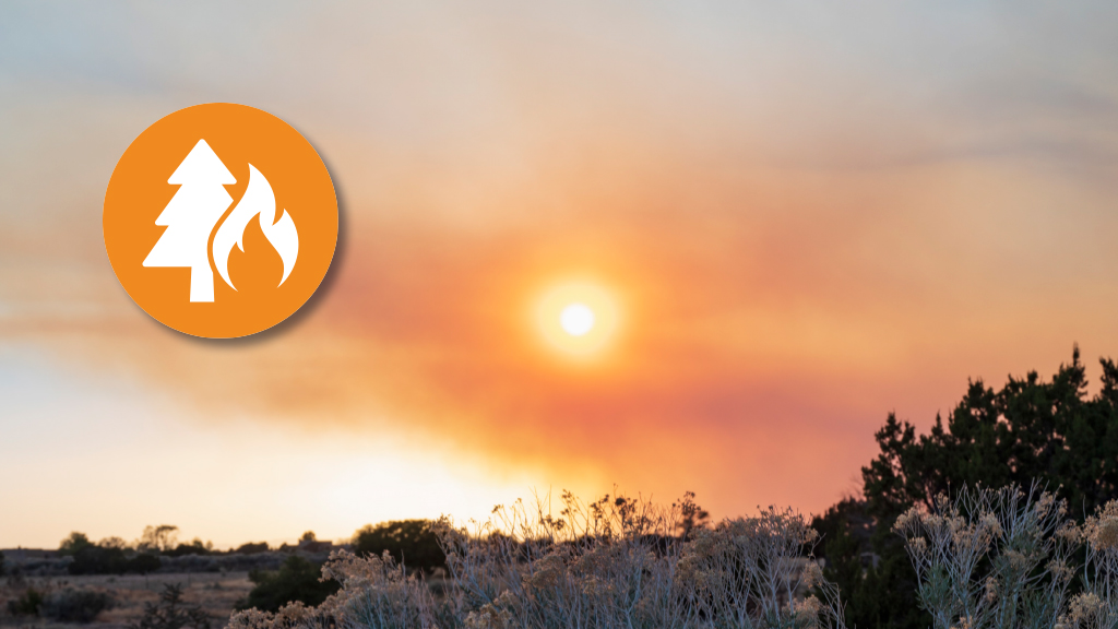 Wildfire Safety and Preparedness