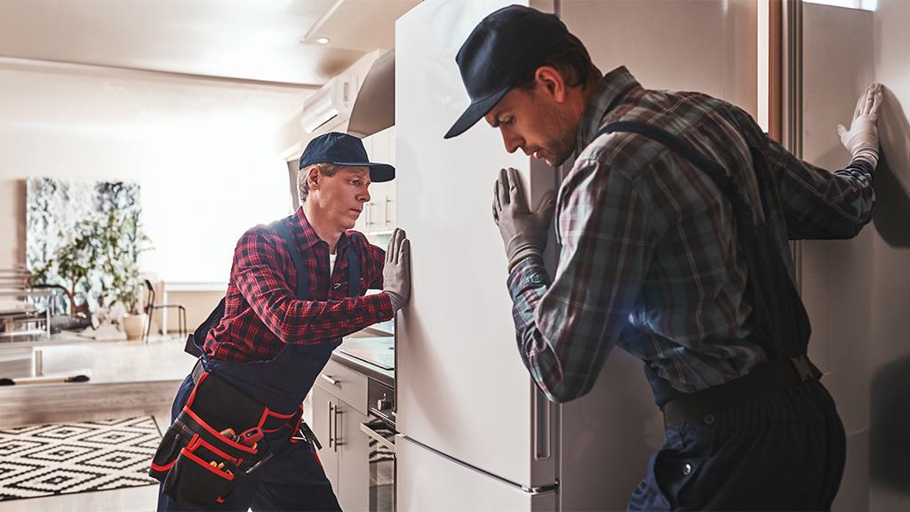 Get Paid to Recycle Your Old Fridge and Save on a New One!