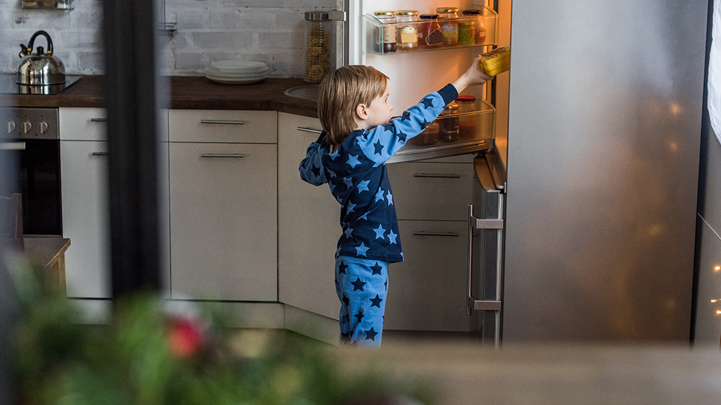Get $100 to Recycle Your Old Fridge or Freezer