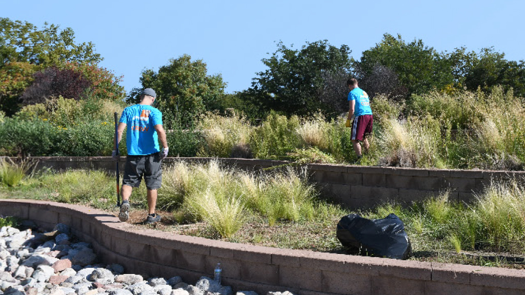 Working Together to Prepare for Summer