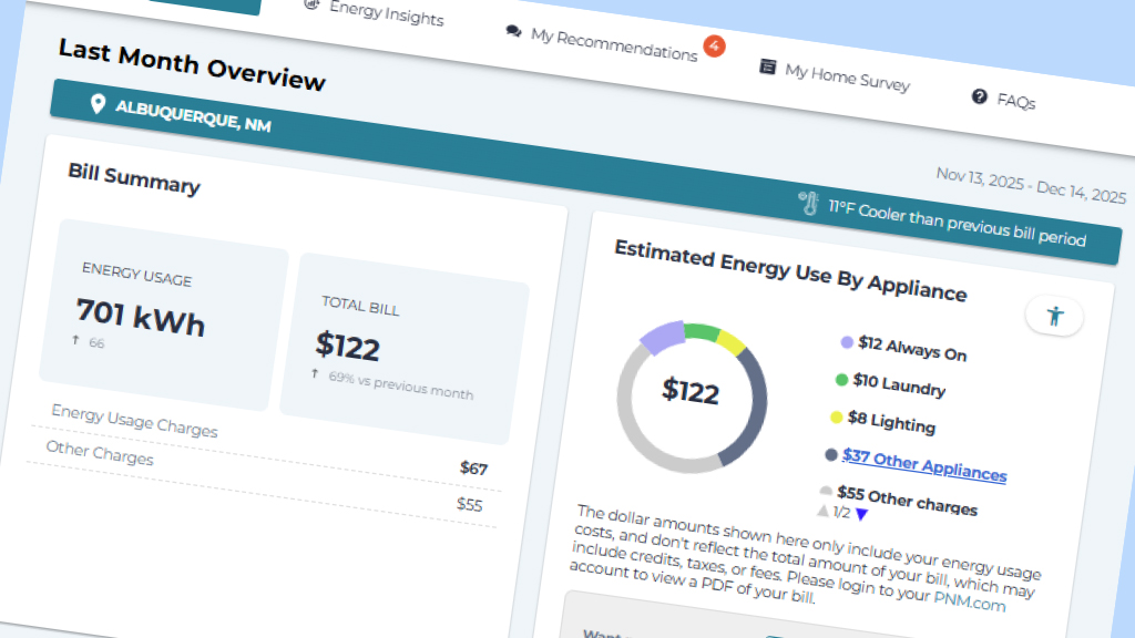 Stay on Top of Your Energy Use with My Energy Usage