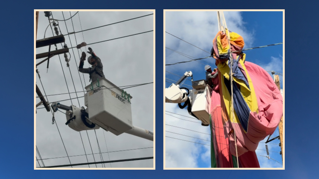 Powering Safety in New Mexico
