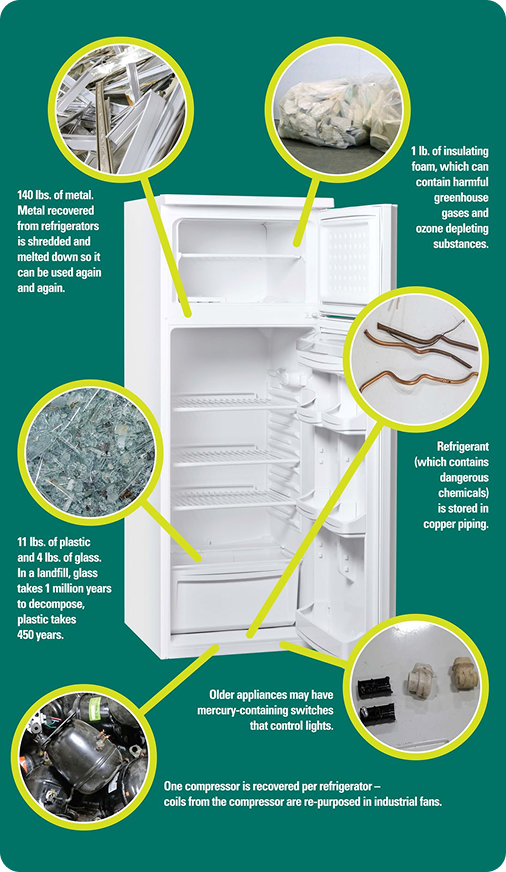 Why Recycle?