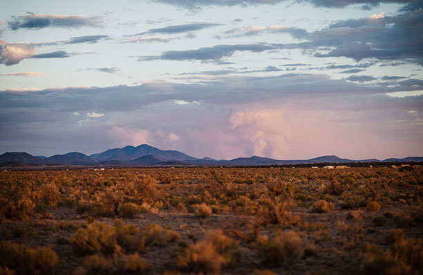 New Mexico Landscape